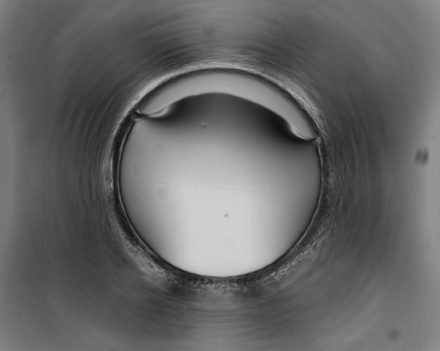 X0000099490934200806121349