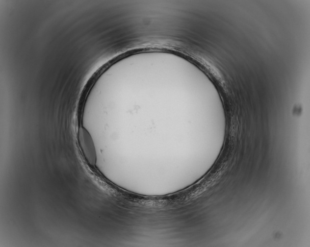 X0000099490936200806121349