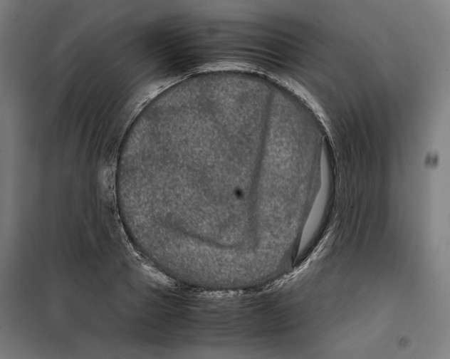 X0000099490937200806121349