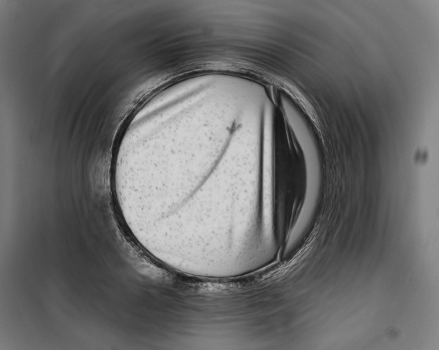 X0000099490938200806121349