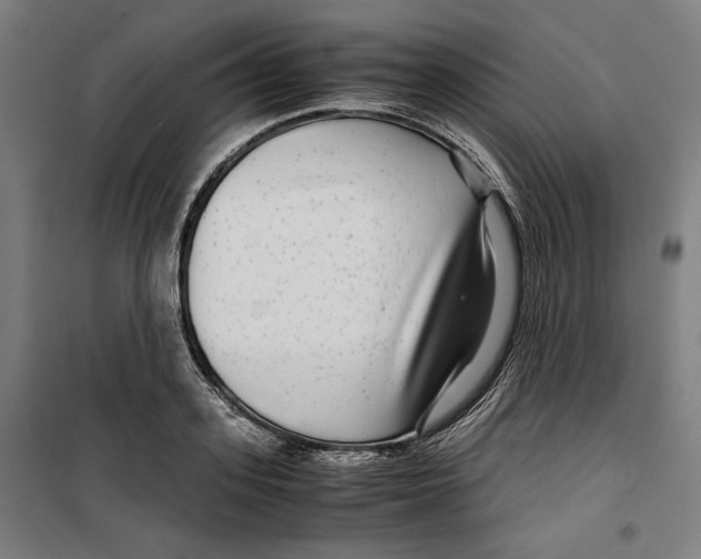 X0000099490939200806121349