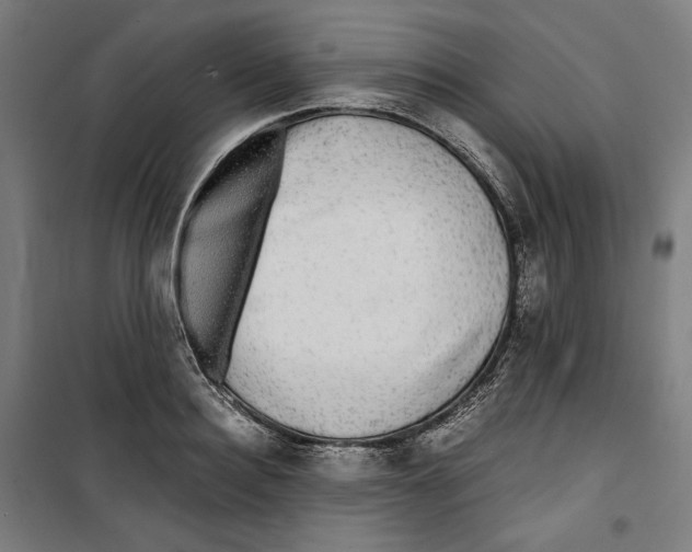 X0000099490940200806121349