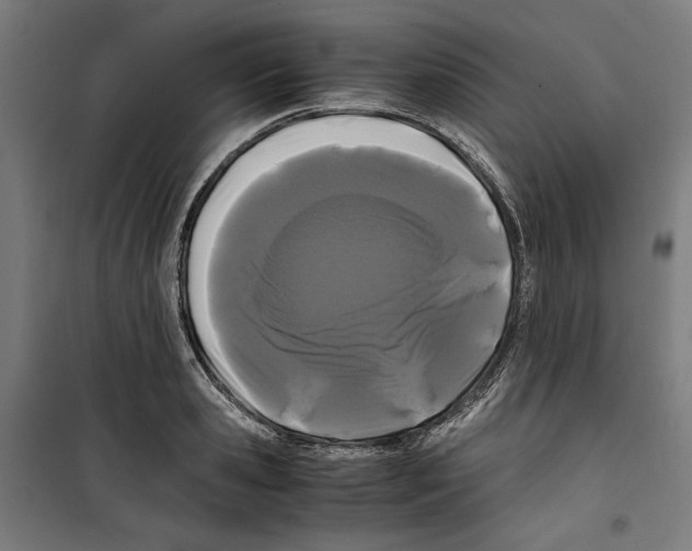 X0000099490941200806121349