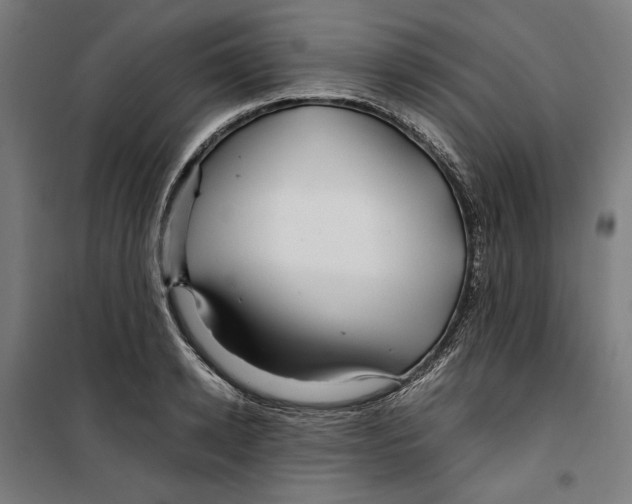 X0000099490942200806121349