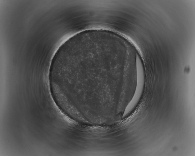 X0000099490943200806121349