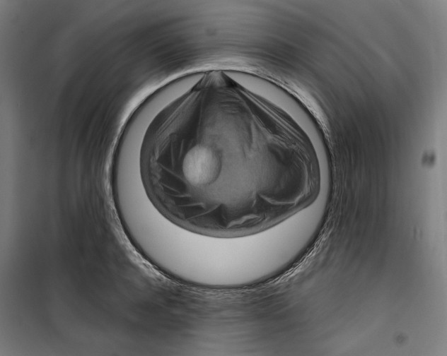 X0000099490944200806121349