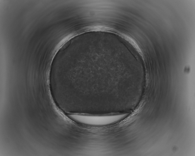 X0000099490946200806121349