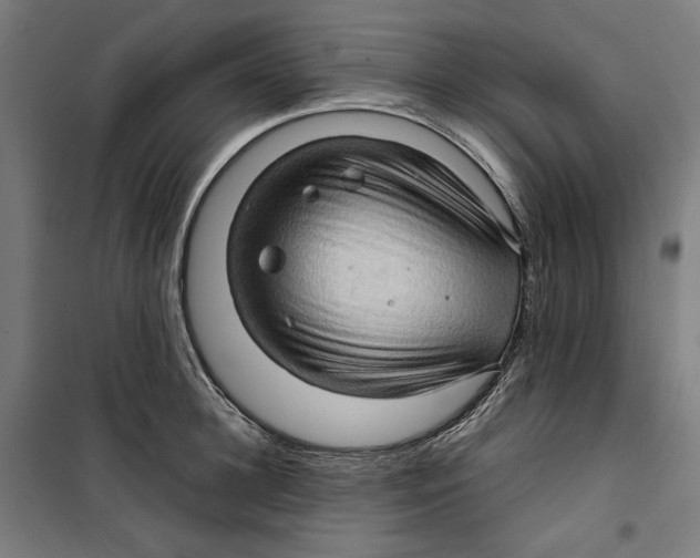 X0000099490948200806121349