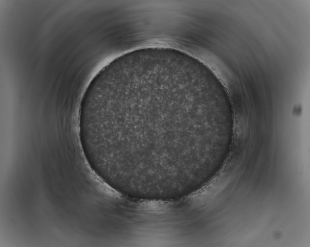 X0000099490950200806121349