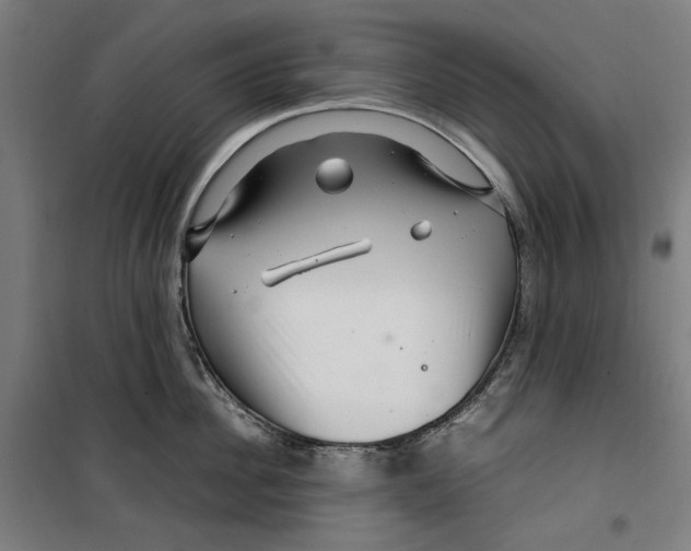 X0000099490956200806121349