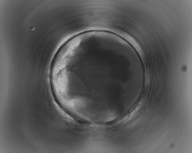 X0000099490958200806121349