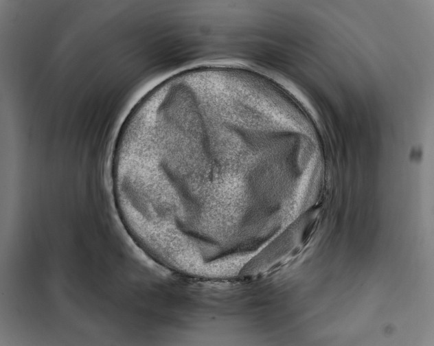 X0000099490959200806121349