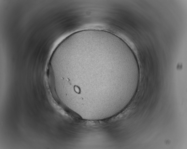 X0000099490960200806121349