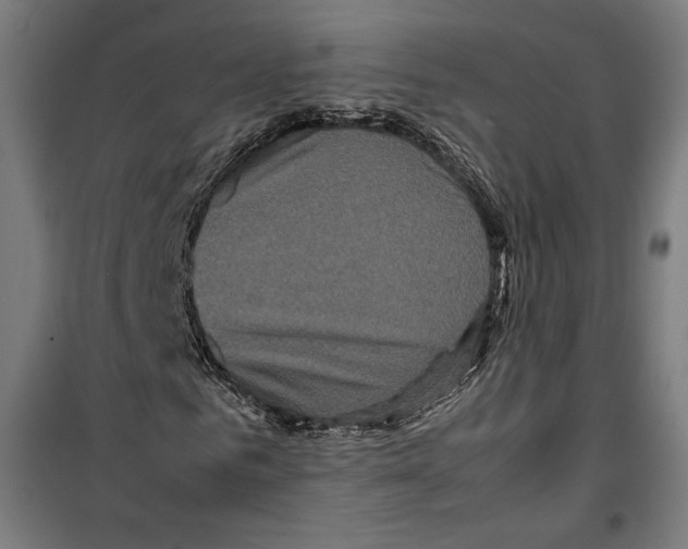 X0000099490961200806121349