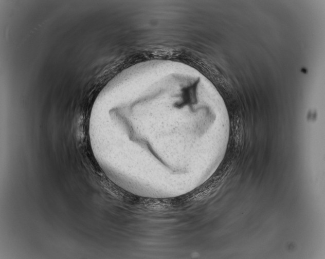 X0000099490962200806121349