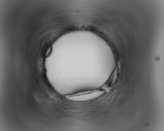 X0000099490963200806121349