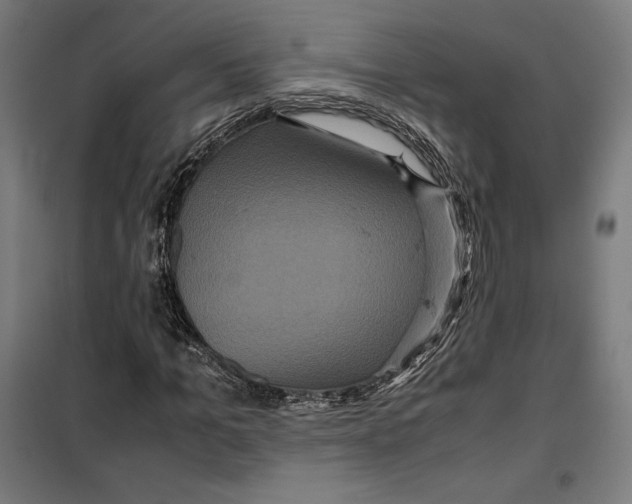 X0000099490965200806121349