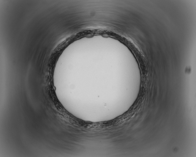 X0000099490967200806121349