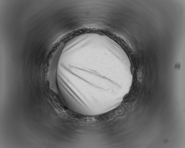 X0000099490968200806121348