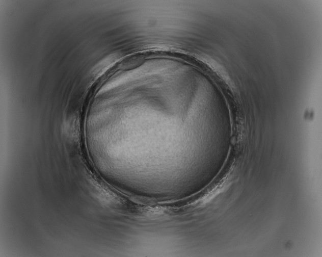 X0000099490969200806121348