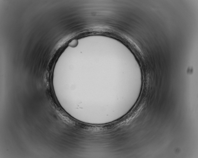 X0000099490970200806121348