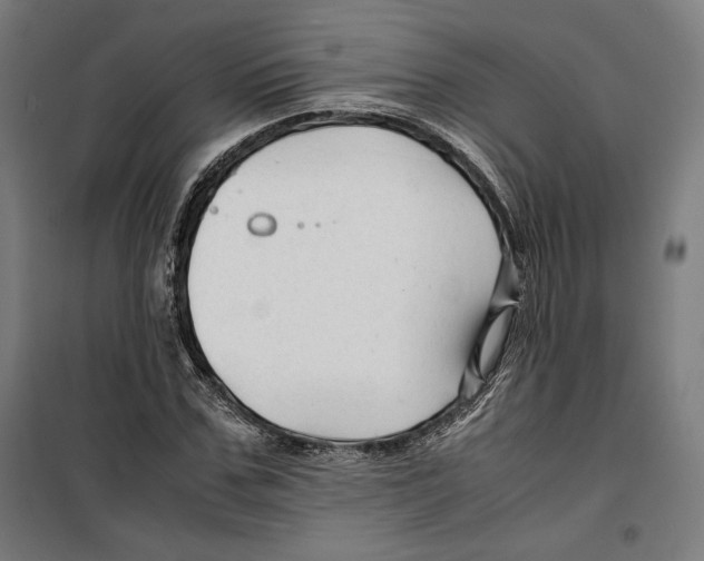 X0000099490971200806121348