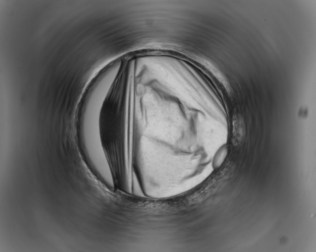 X0000099490972200806121348