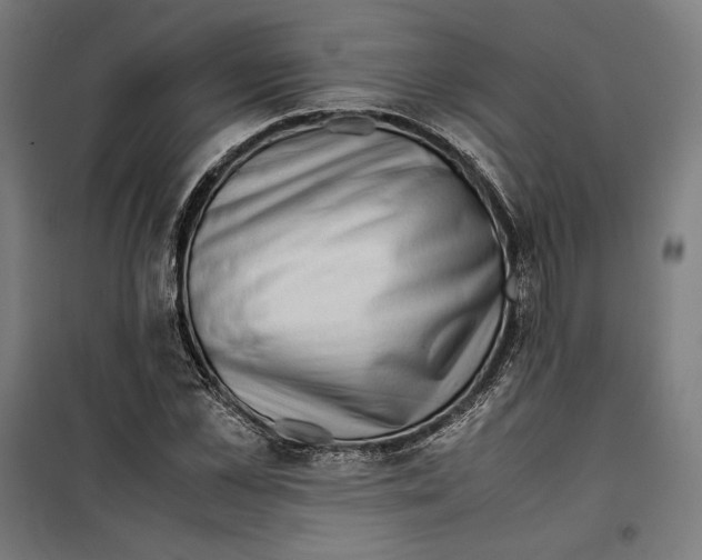 X0000099490973200806121348