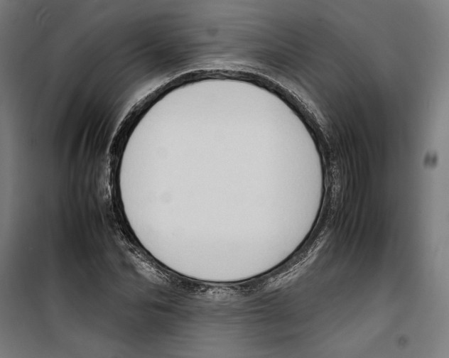 X0000099490974200806121348