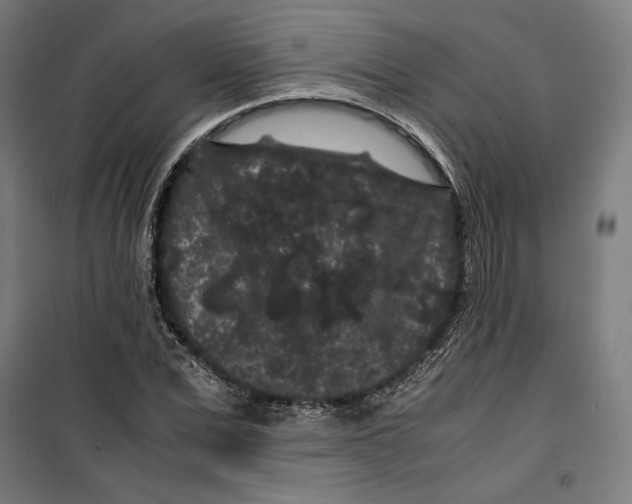 X0000099490975200806121348