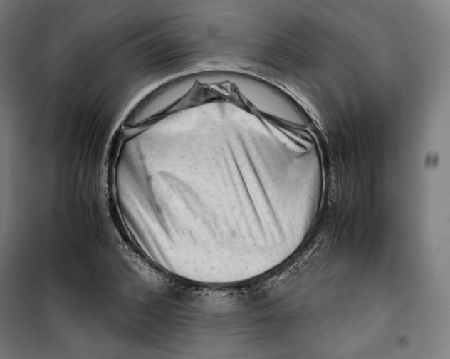 X0000099490976200806121348