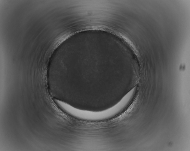 X0000099490977200806121348