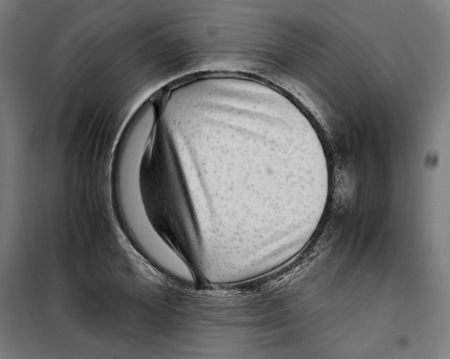 X0000099490980200806121348