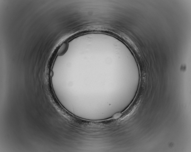 X0000099490981200806121348