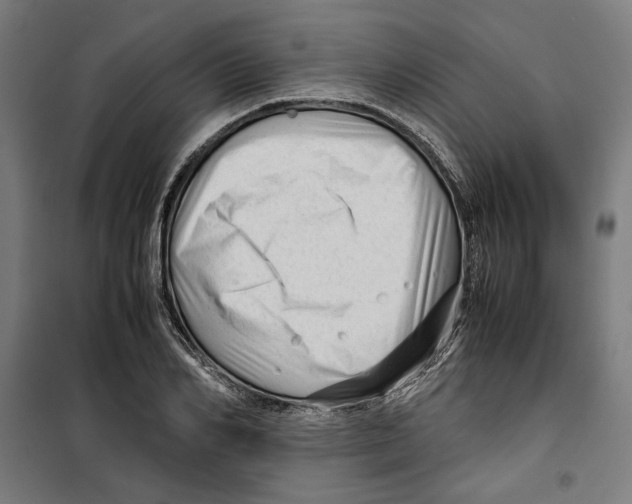 X0000099490982200806121348