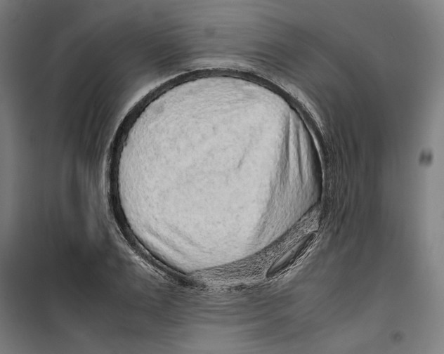 X0000099490983200806121348