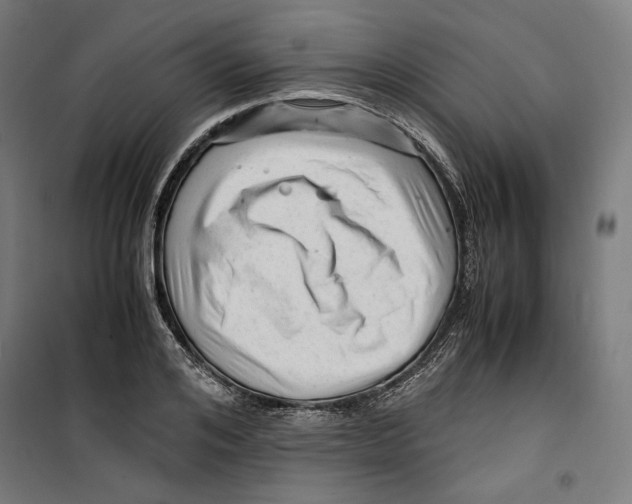 X0000099490984200806121348