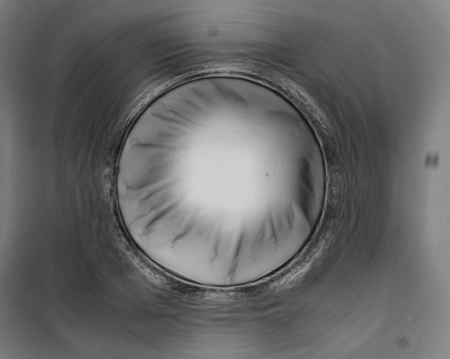 X0000099490985200806121348