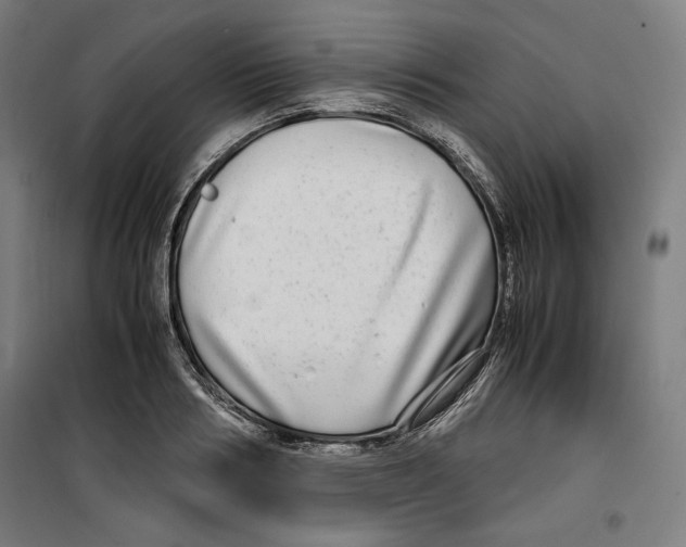 X0000099490986200806121348