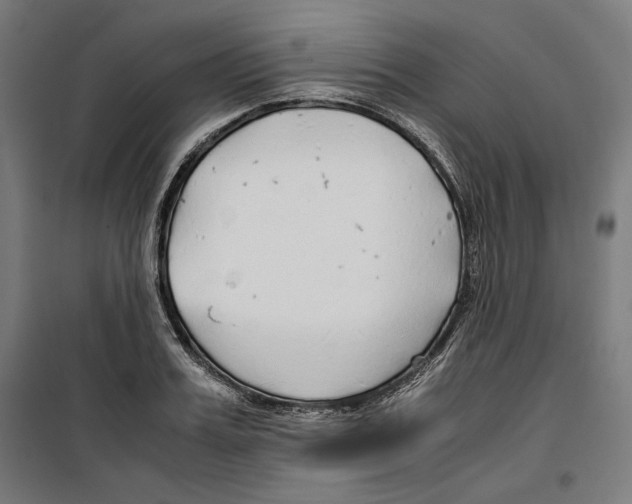 X0000099490987200806121348