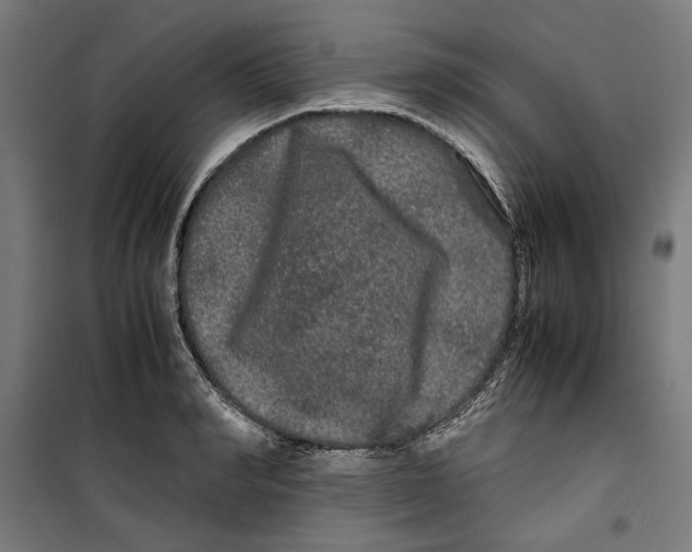 X0000099490990200806121348