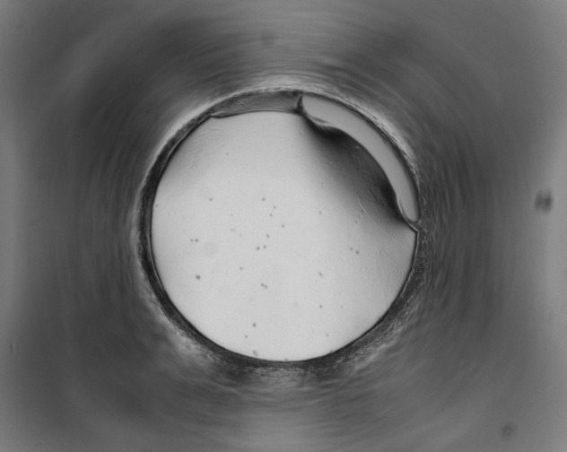 X0000099490991200806121348