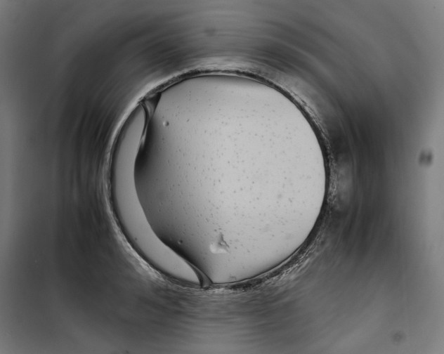 X0000099490992200806121348