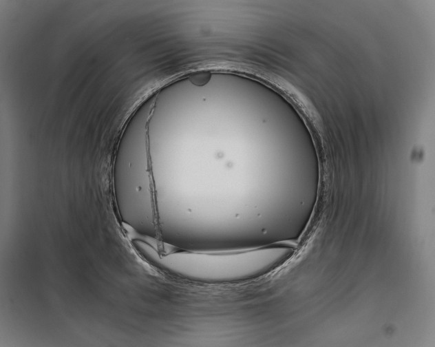 X0000099490993200806121348