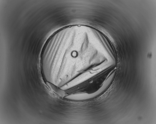 X0000099490996200806121348