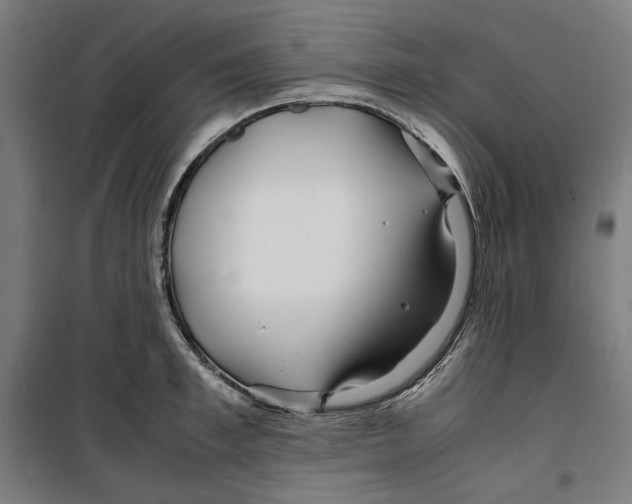 X0000099490997200806121348