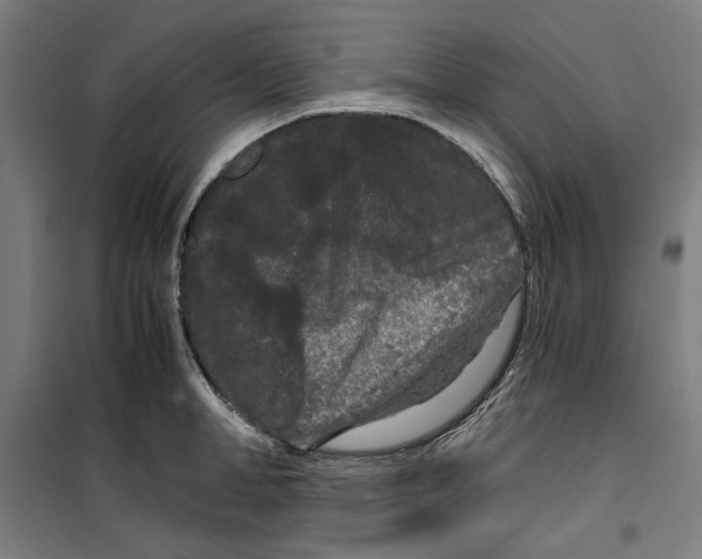 X0000099490998200806121348