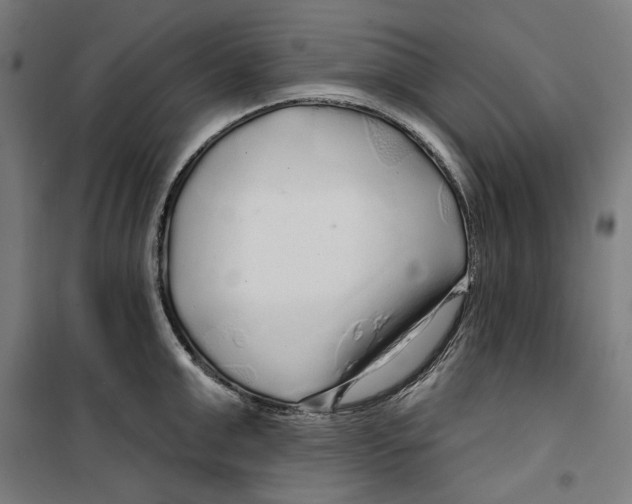 X0000099490999200806121348