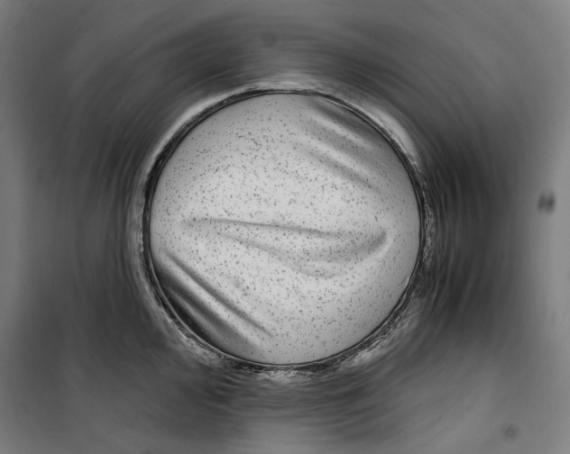 X0000099491000200806121348