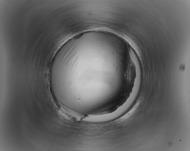 X0000099491001200806121348